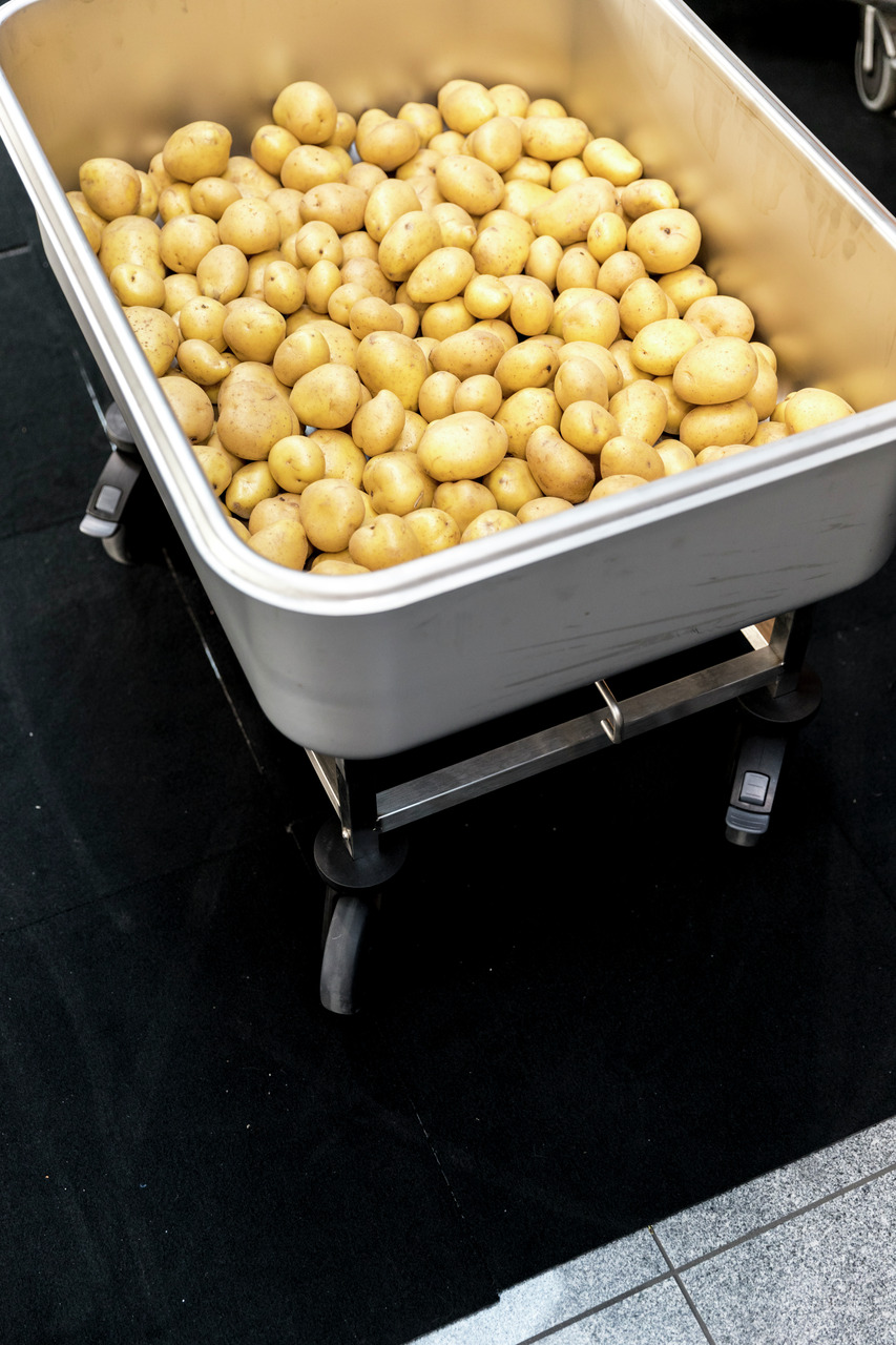 Rieber Kartoffel-/Gemüsewagen Edelstahl - 160 Liter